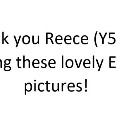 Reece